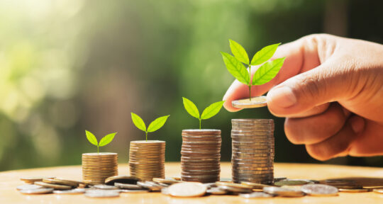 Scala di monete con piantine