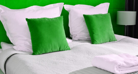 Eco-certificado Google para hoteles, ¿cómo obtenerlo?